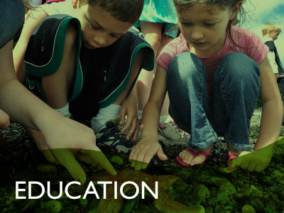 There's a nice caption here.